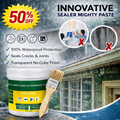 Leak privation Waterproof Glue(600gm)